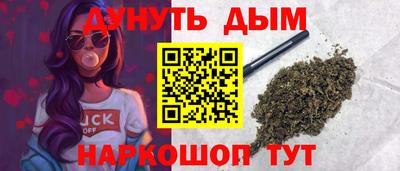 индика Славгород