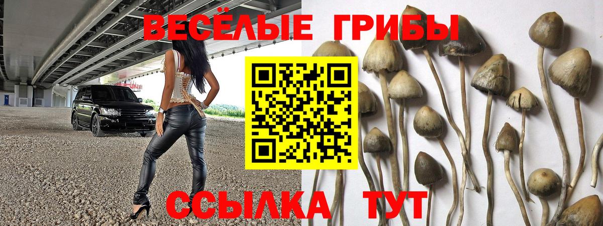 Галлюциногенные грибы MAGIC MUSHROOMS Ноябрьск